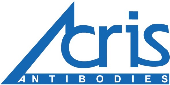 Antibodies